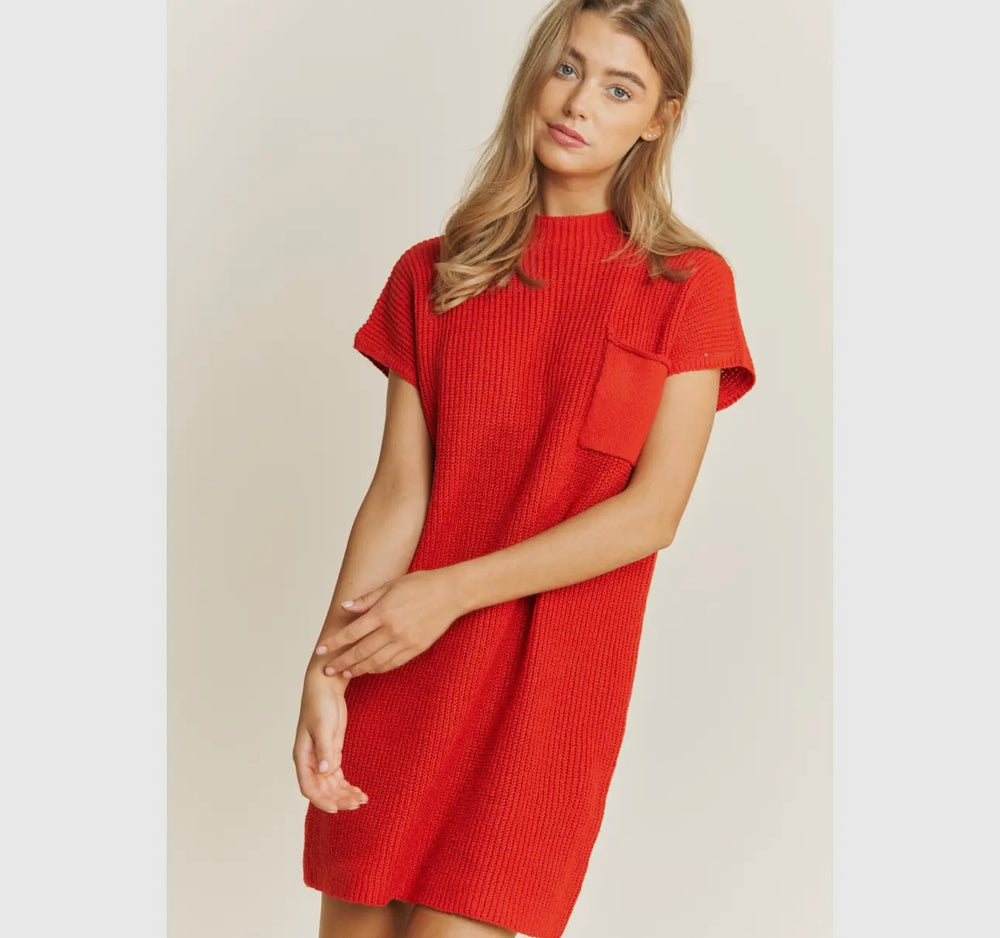 Sweater Knit Dress