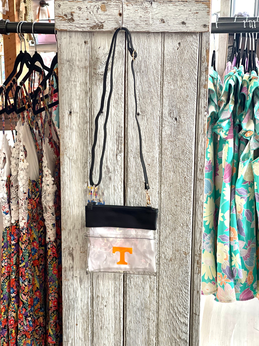Licensed Crossbody Clear Bag
